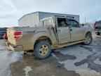 2013 FORD F-150 Lightning