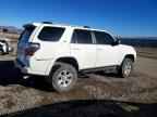 2019 TOYOTA 4Runner