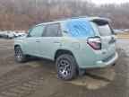 2023 TOYOTA 4Runner