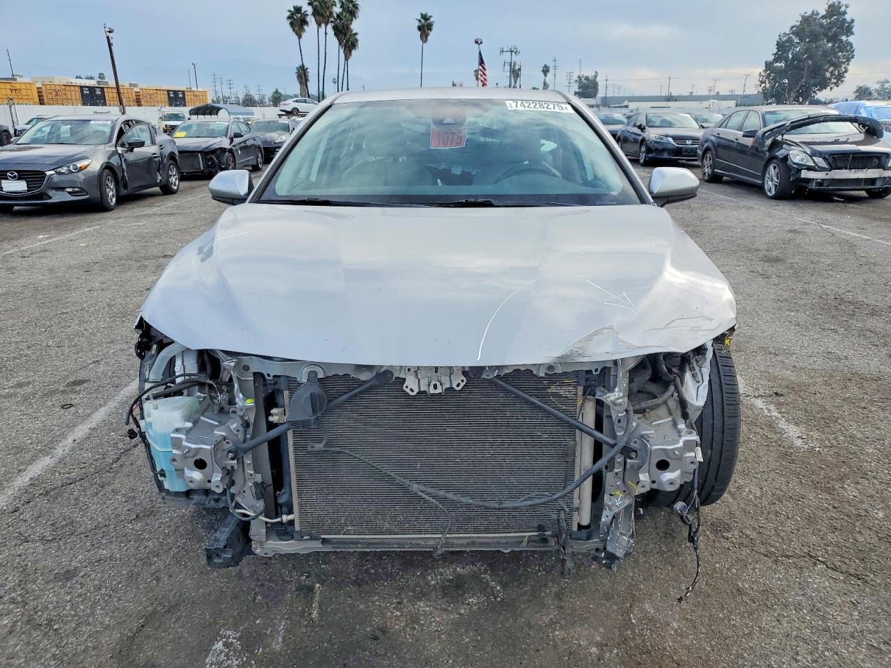 2019 TOYOTA CAMRY