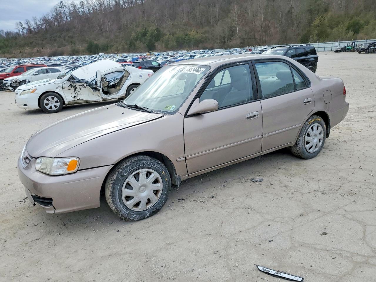 2001 TOYOTA COROLLA