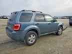 2010 FORD ESCAPE