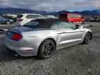 2023 FORD MUSTANG