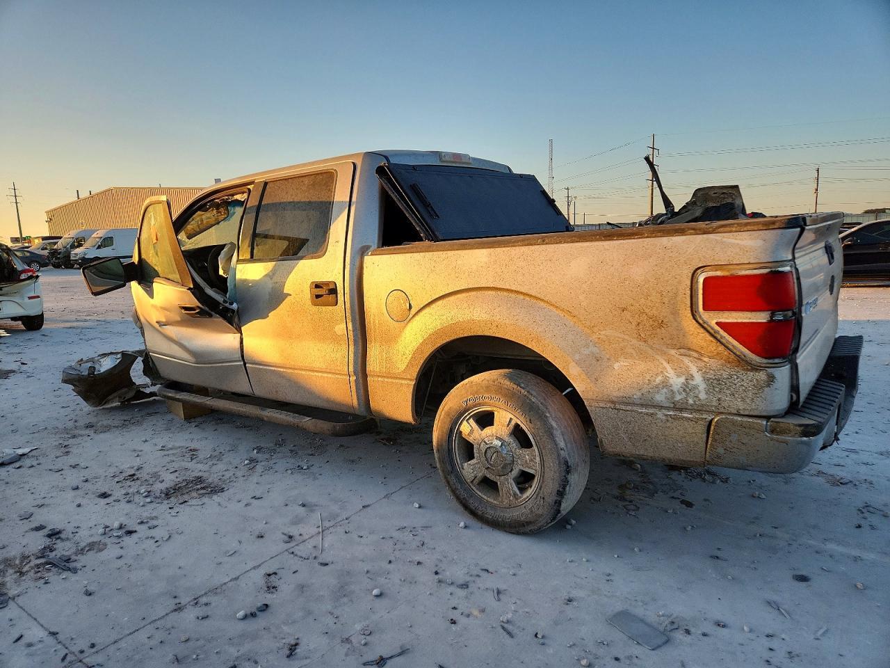 2010 FORD F-150