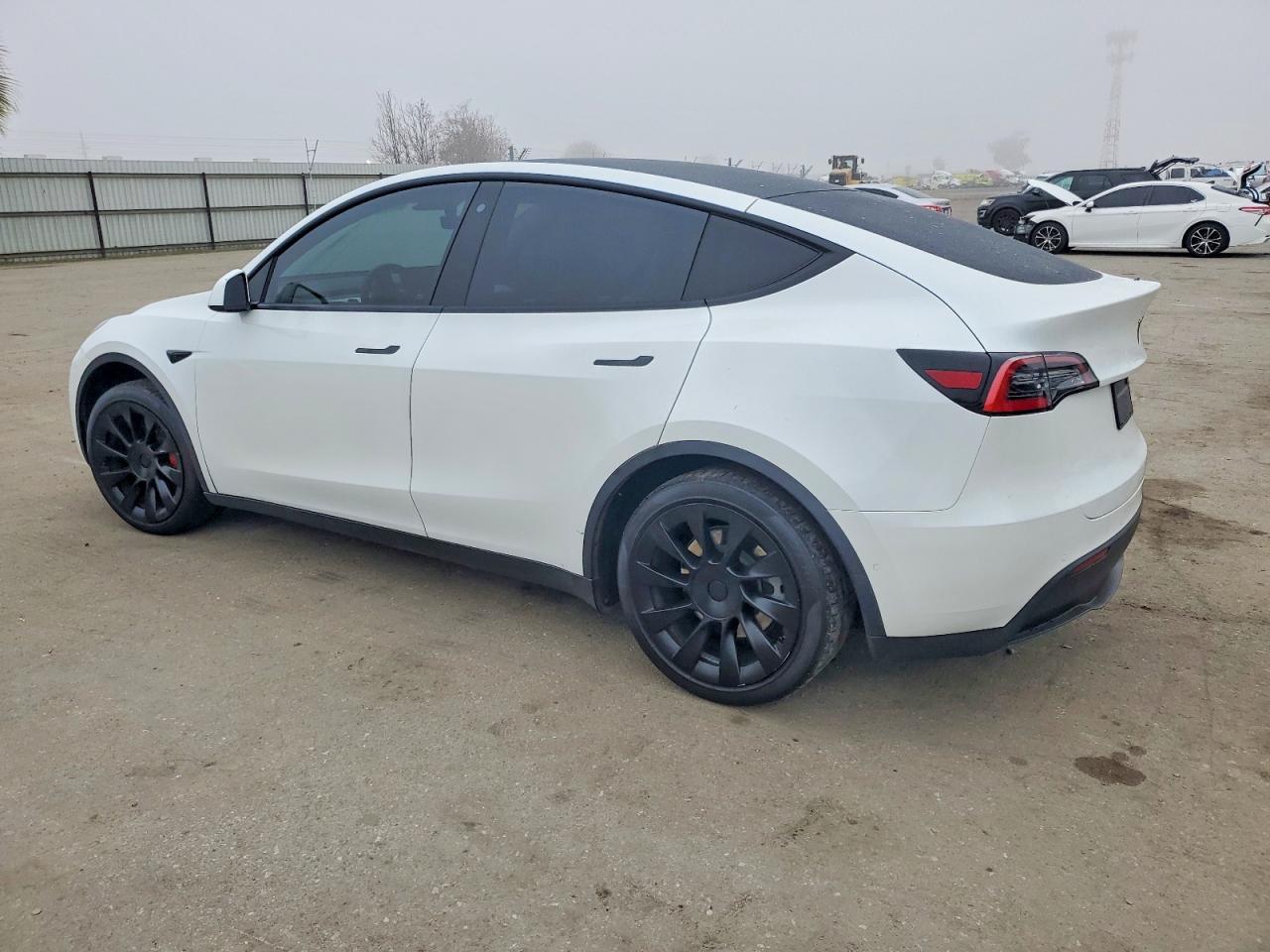 2020 TESLA MODEL Y