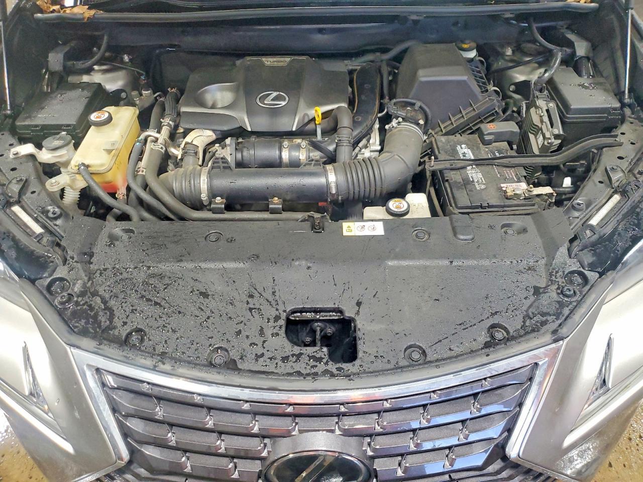 2019 LEXUS NX 300