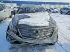 2019 CADILLAC XT5