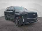 2024 CADILLAC ESCALADE