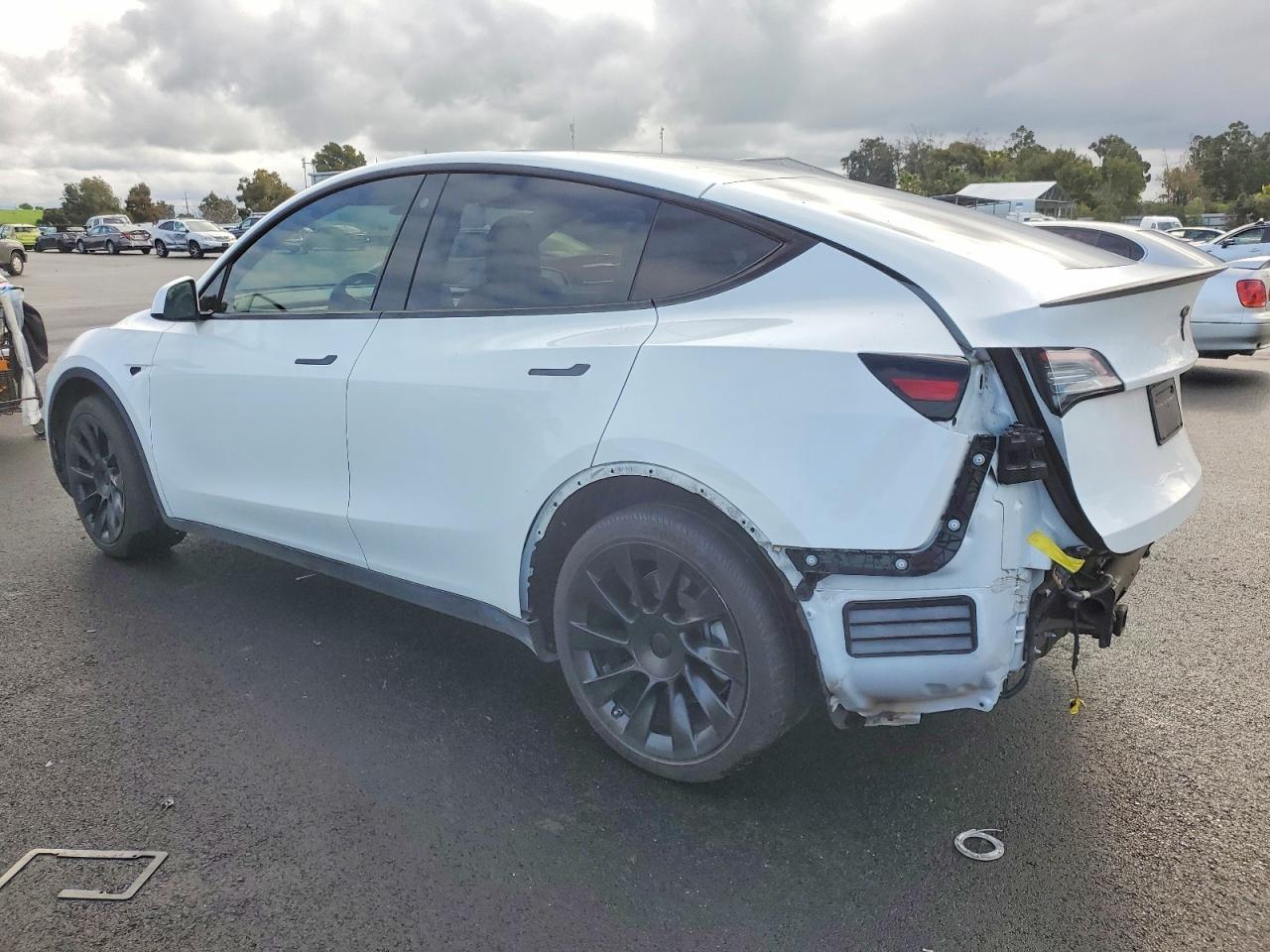 2021 TESLA MODEL Y