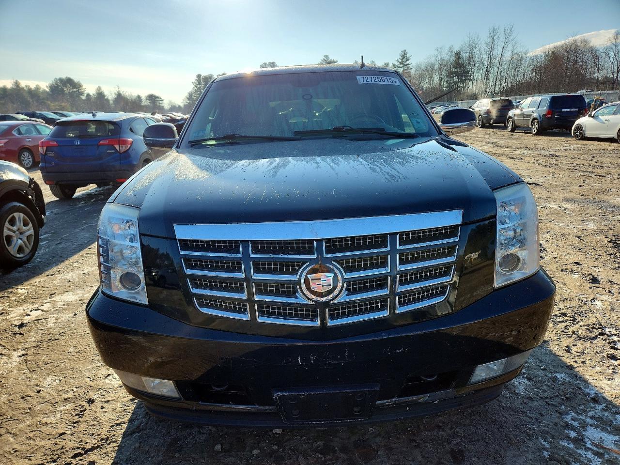 2010 CADILLAC ESCALADE