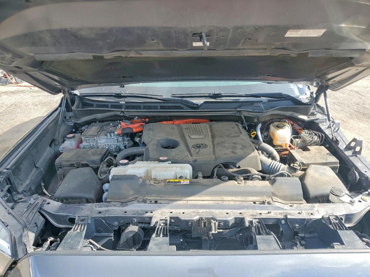 2023 TOYOTA Sequoia