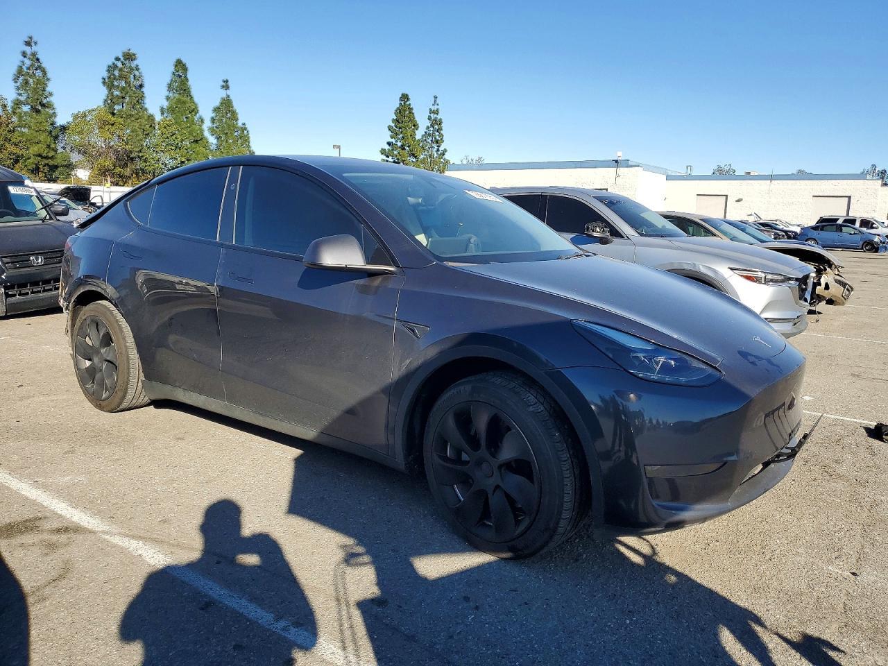 2024 TESLA MODEL Y