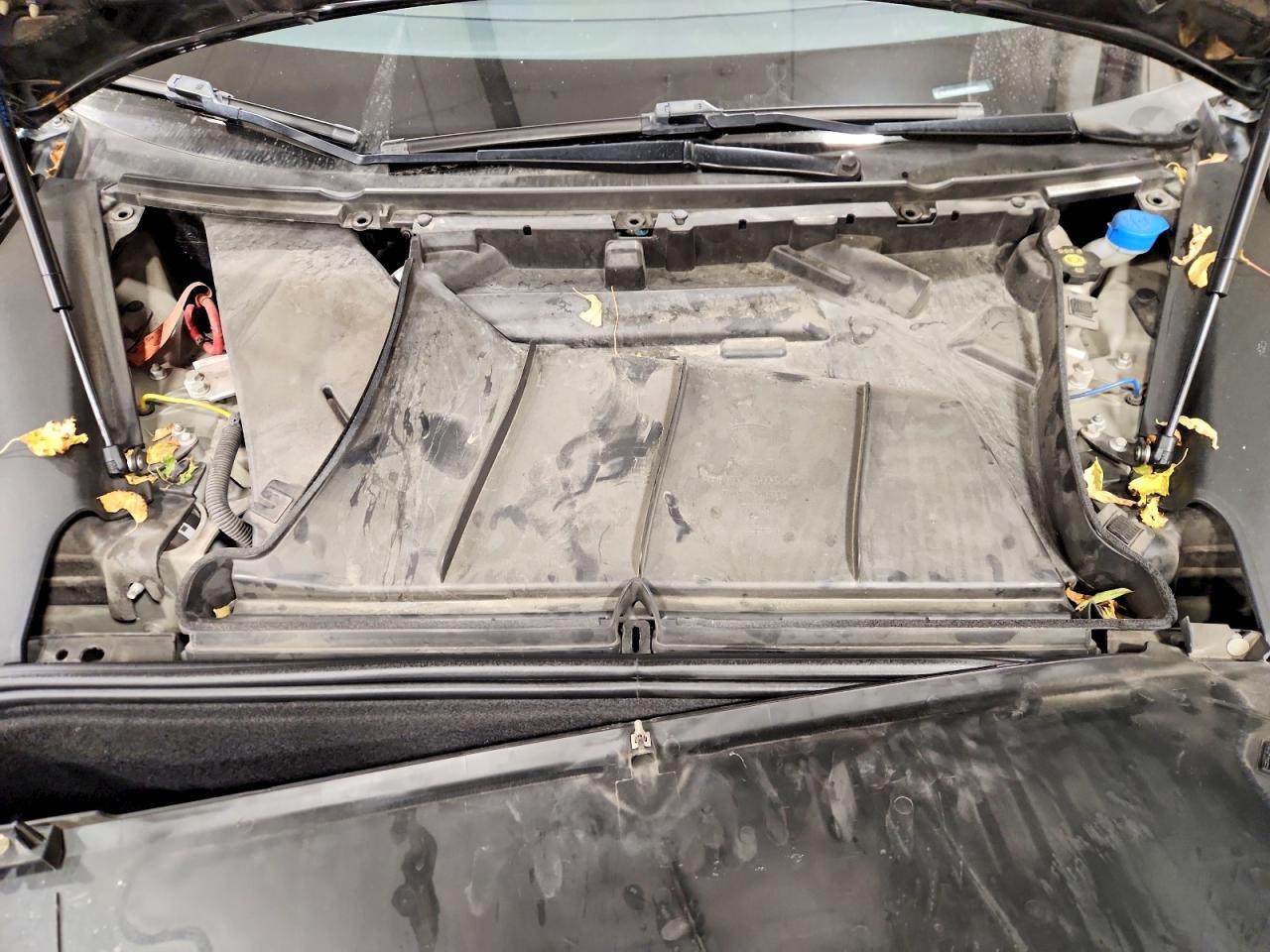 2019 TESLA MODEL S
