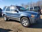 2006 FORD ESCAPE
