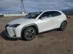 2021 LEXUS UX 200