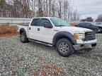 2009 FORD F-150