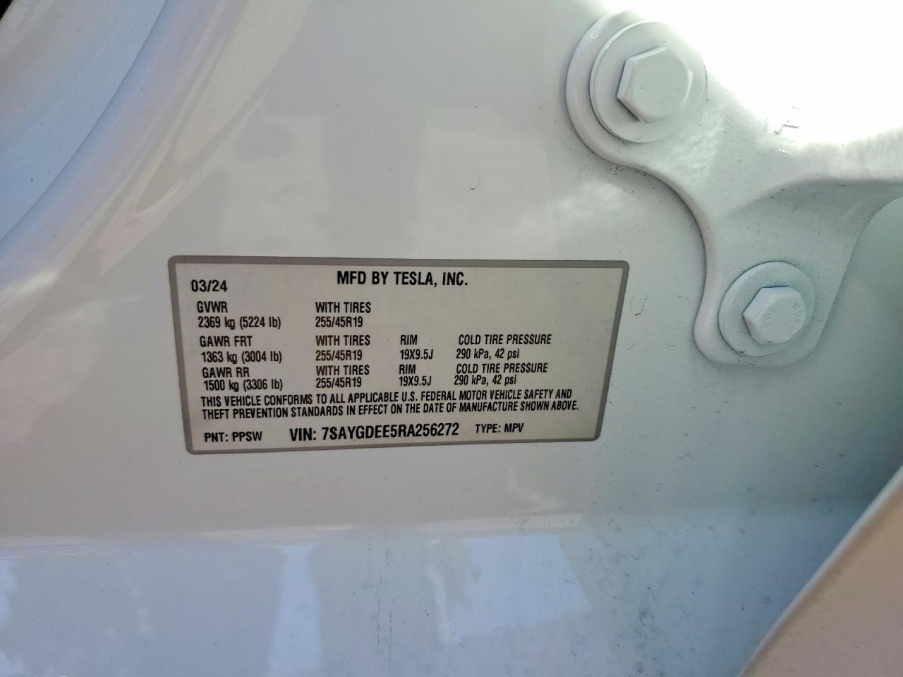 2024 TESLA MODEL Y