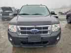 2010 FORD ESCAPE