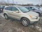 2007 HONDA CR-V