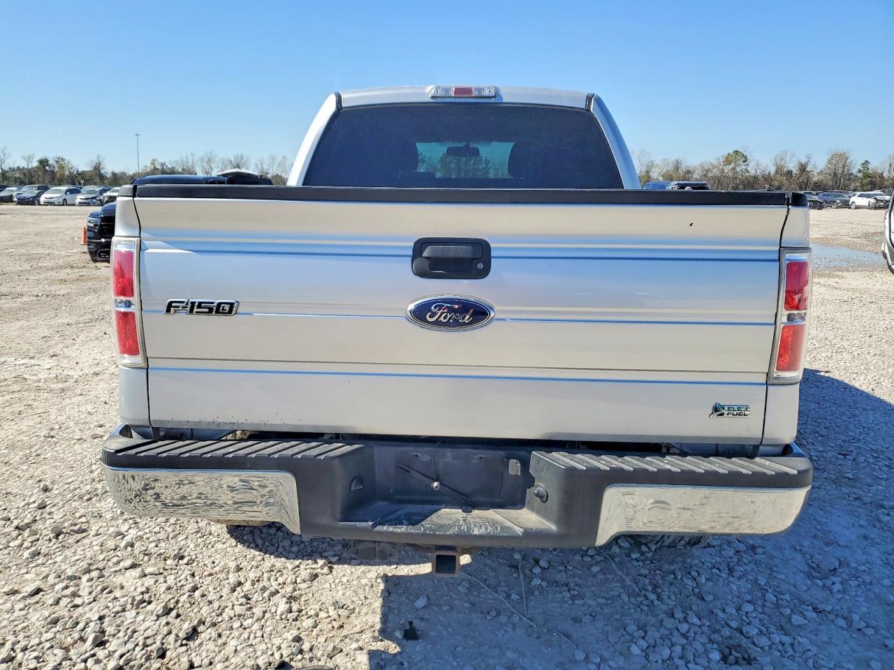2010 FORD F-150