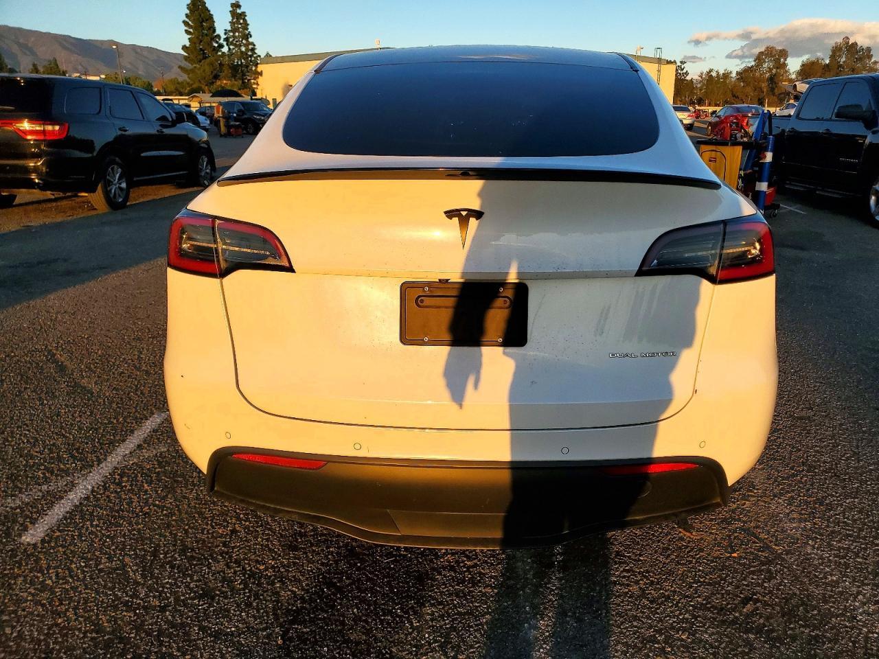 2020 TESLA MODEL Y