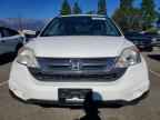 2010 HONDA CR-V