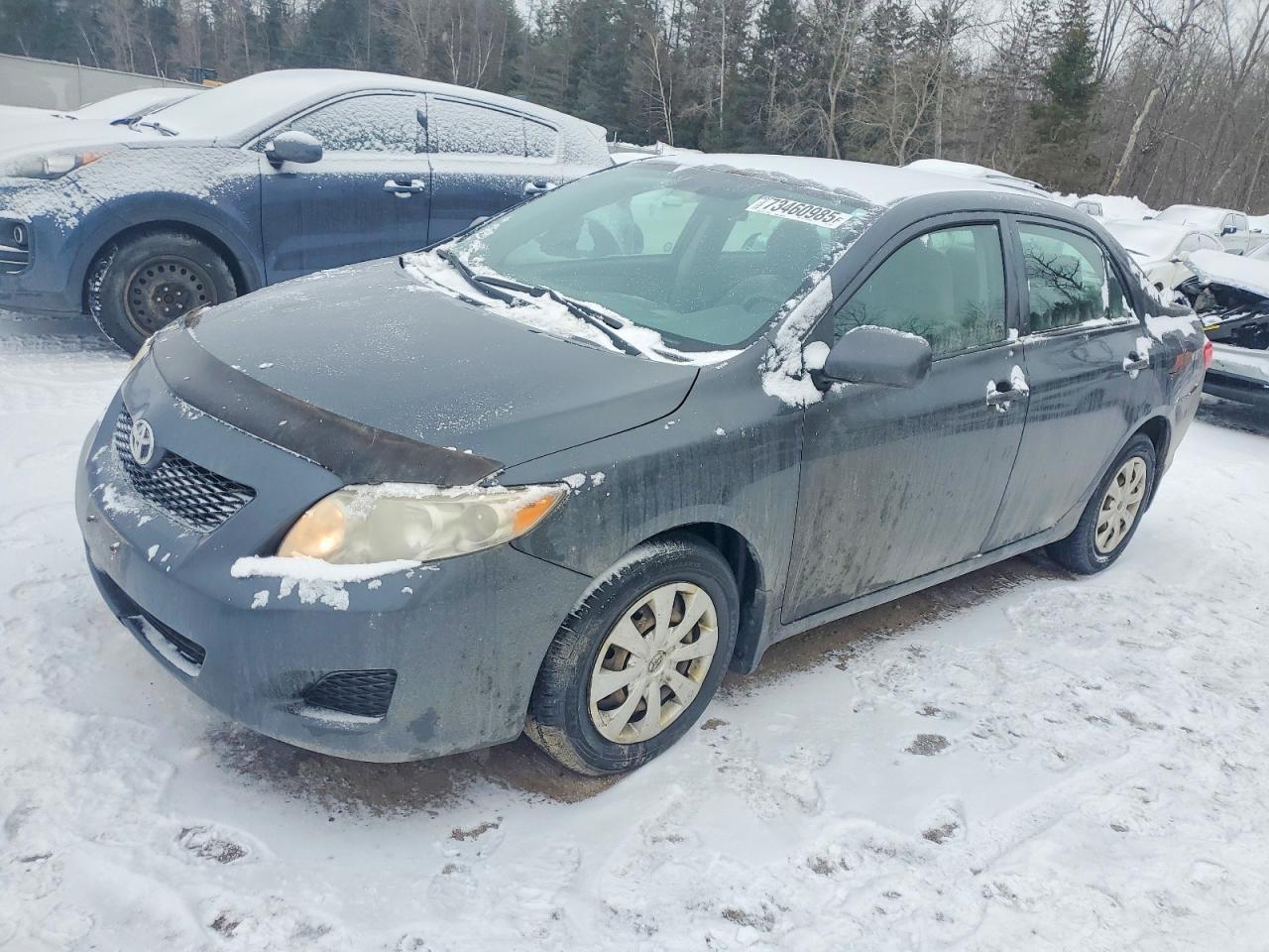 2009 TOYOTA COROLLA