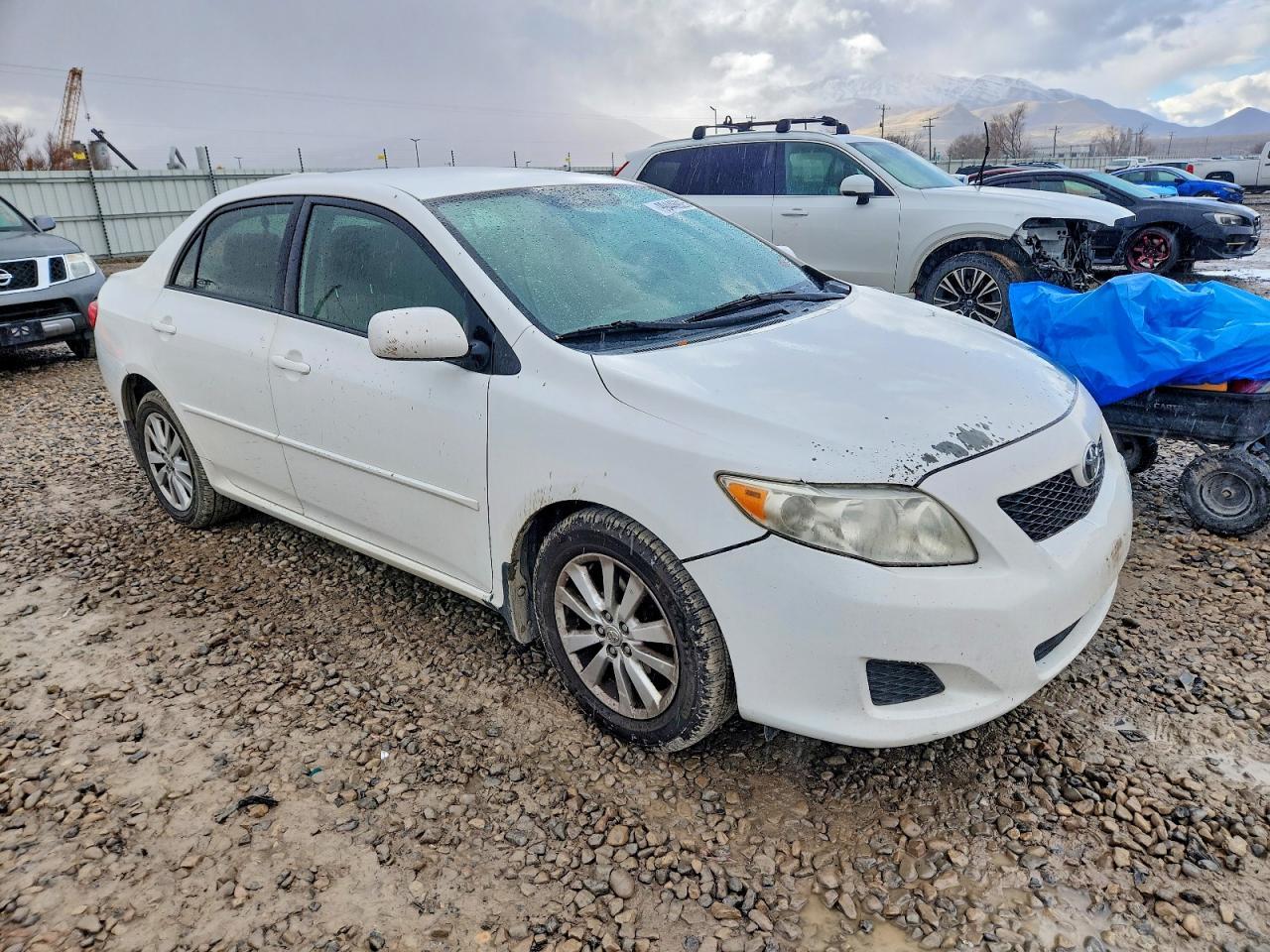 2010 TOYOTA COROLLA