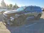 2024 LEXUS TX 350
