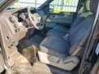 2009 FORD F-150