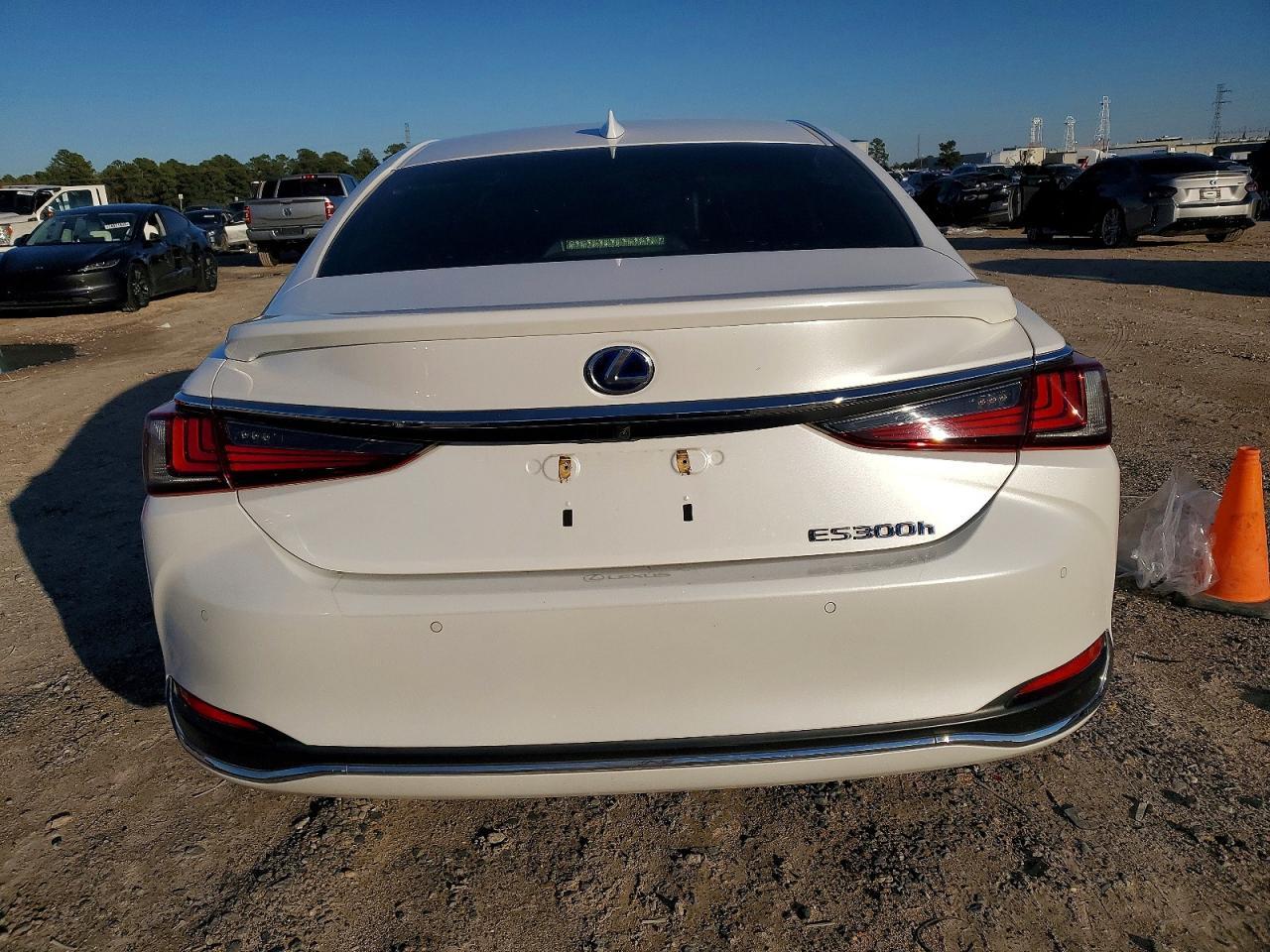 2019 LEXUS ES 300H