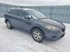 2013 MAZDA CX-9