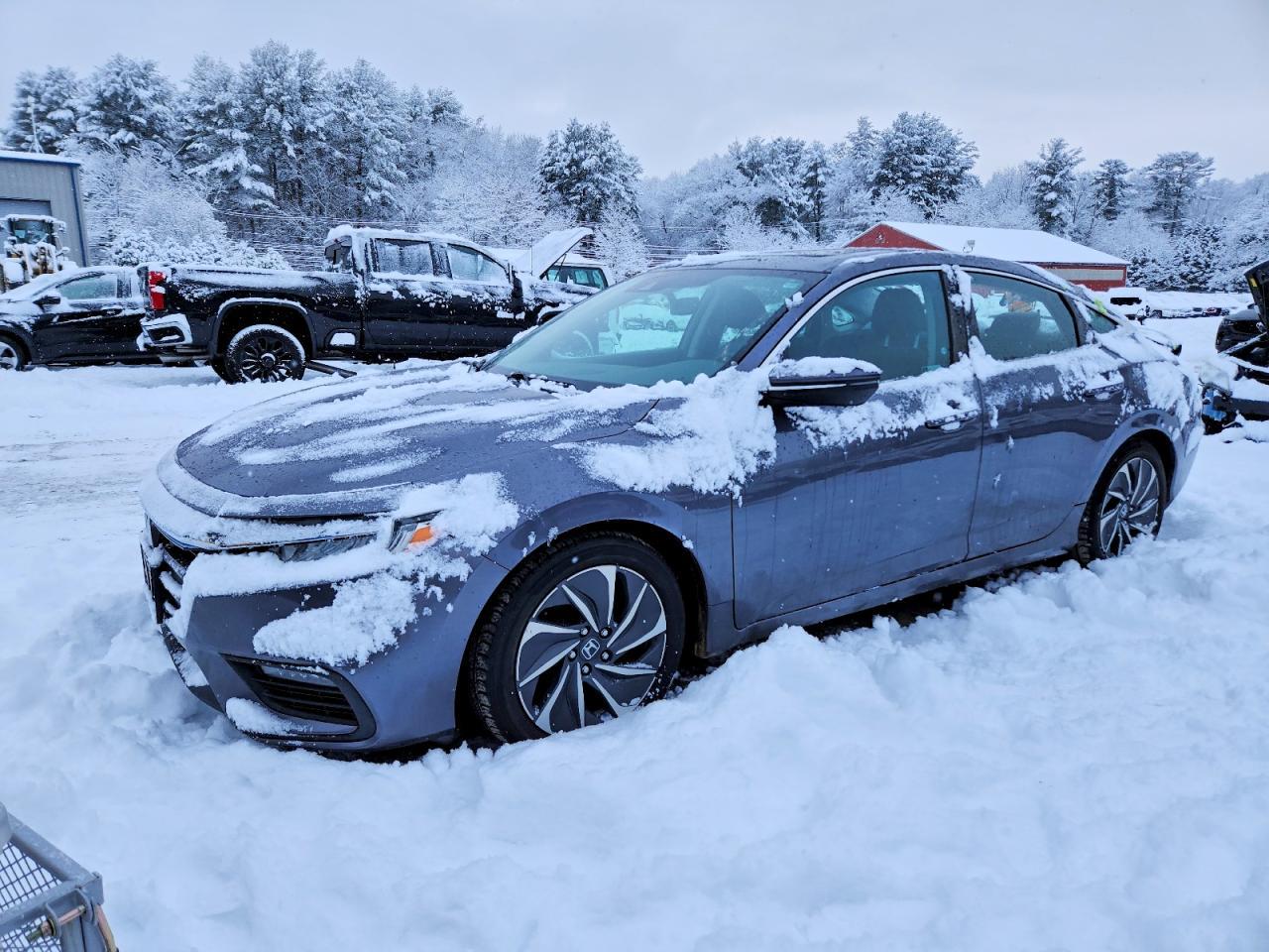2019 HONDA Insight
