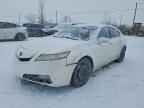 2010 ACURA TL