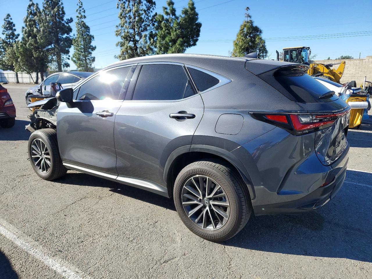 2024 LEXUS NX 350