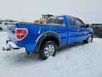 2009 FORD F-150
