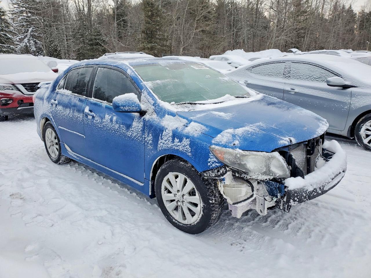 2010 TOYOTA COROLLA