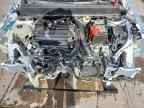 2025 FORD Maverick