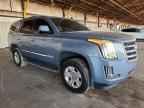 2016 CADILLAC ESCALADE
