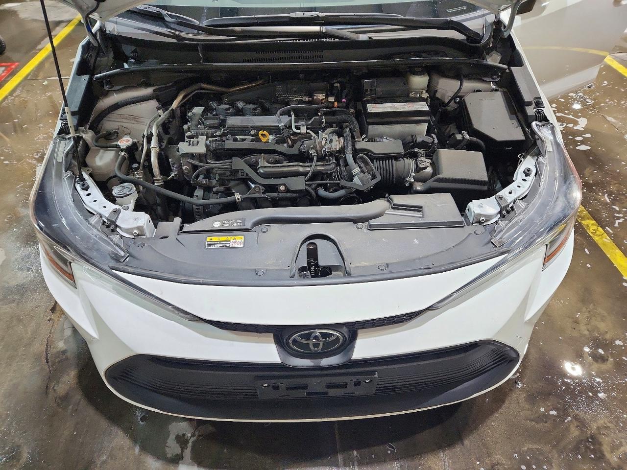 2023 TOYOTA COROLLA