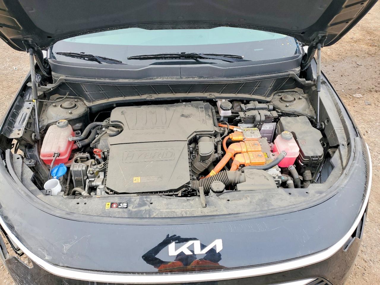 2024 KIA Niro