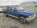 2002 DODGE Dakota
