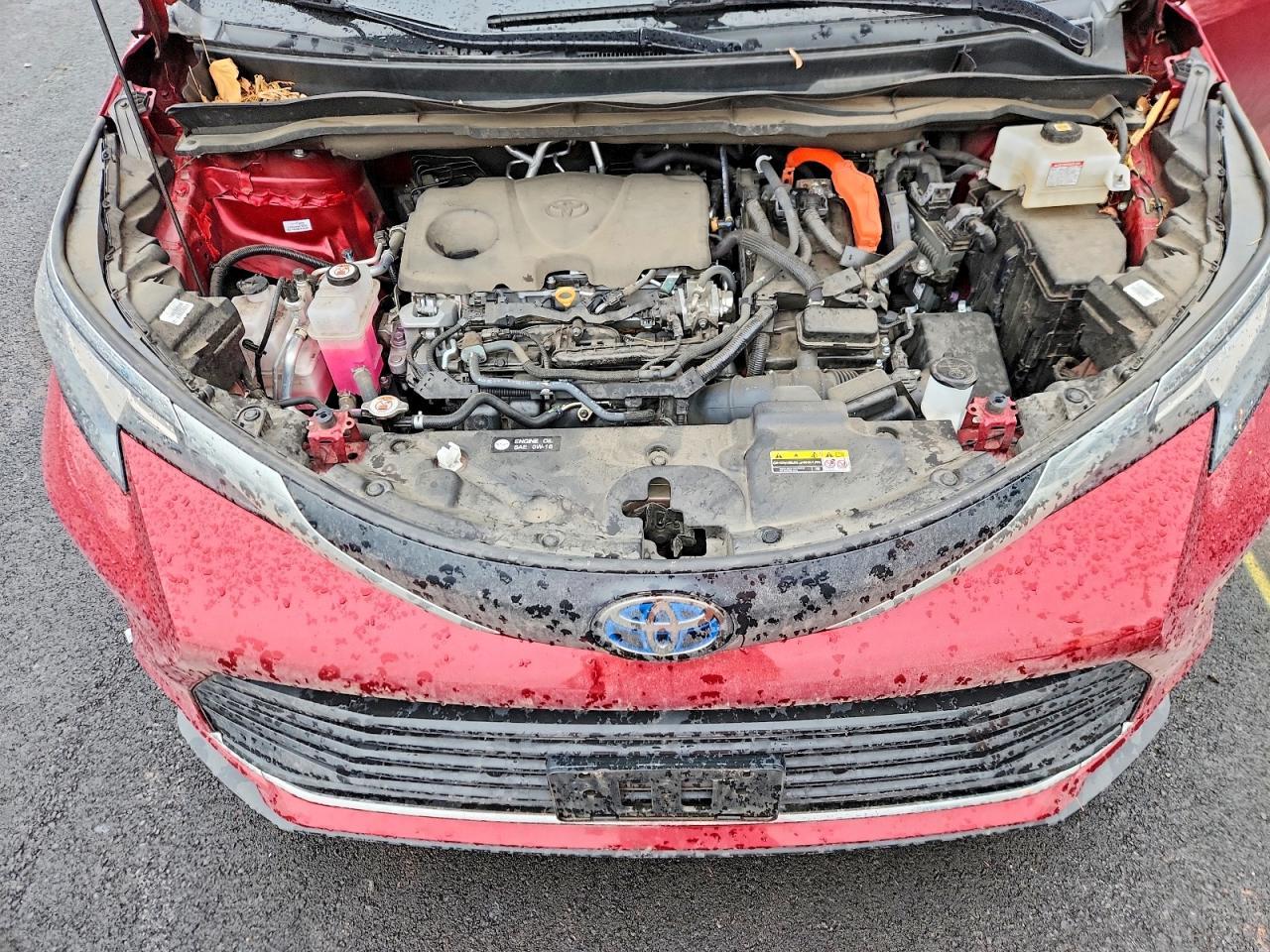 2023 TOYOTA SIENNA