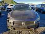 2013 NISSAN Maxima