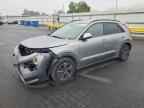 2023 KIA Niro