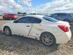 2008 NISSAN ALTIMA