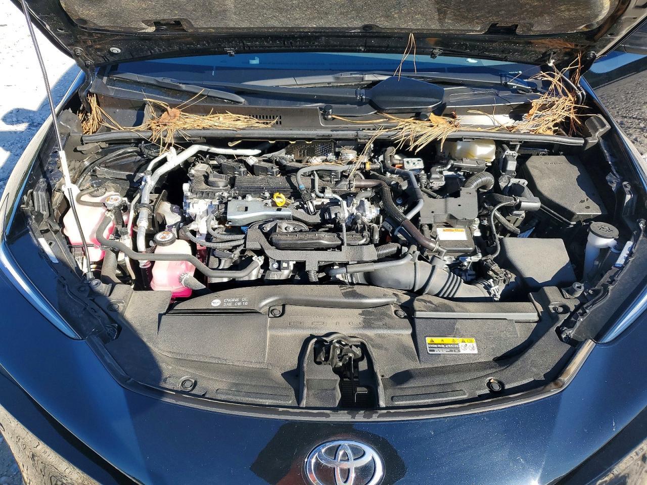 2024 TOYOTA PRIUS