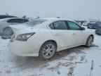 2013 NISSAN Maxima