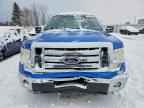 2009 FORD F-150