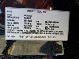 2025 TESLA MODEL Y